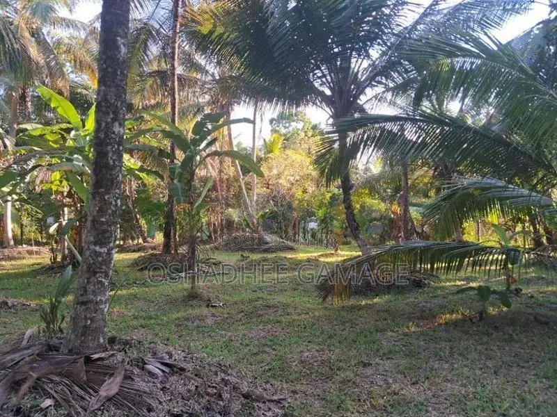 ඉඩමක් විකිණීමට කුරුණෑගල