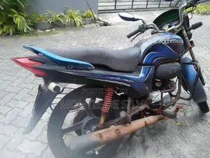Hero Passion Plus 2010