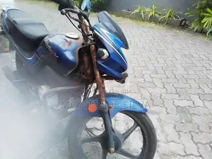 Hero Passion Plus 2010