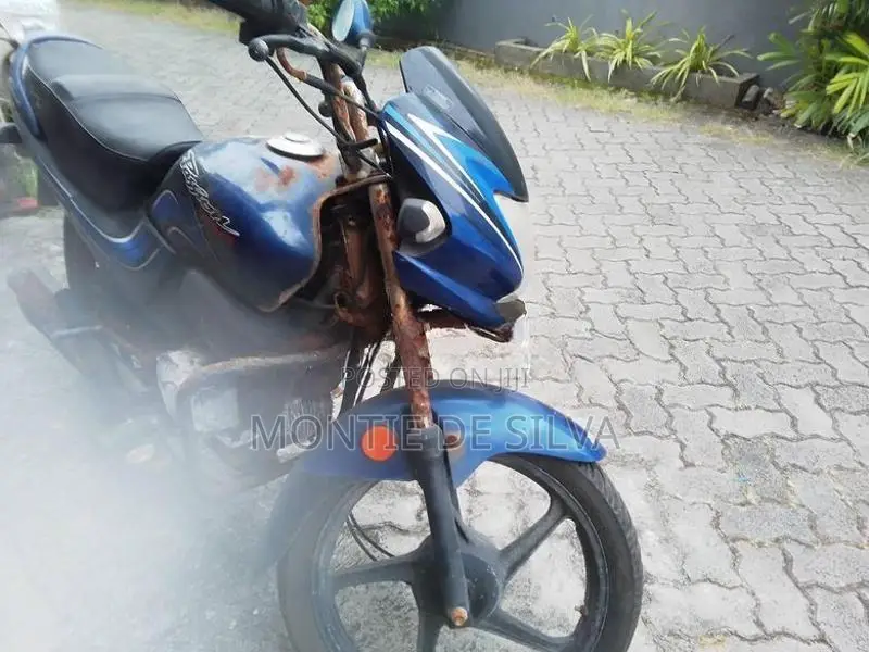 Hero Passion Plus 2010