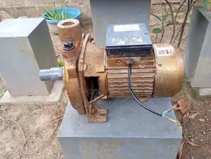 Singer Water Pump