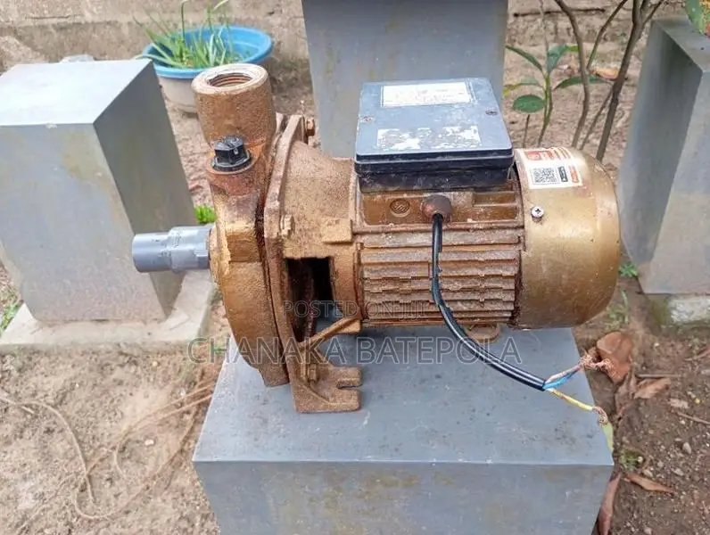 Singer Water Pump