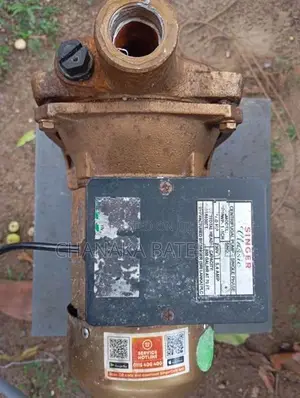 Singer Water Pump