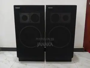 Pioneer CS-F7000 Speakers