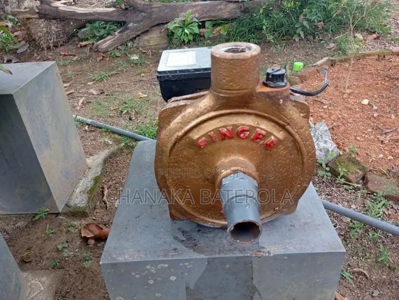 Singer Water Pump