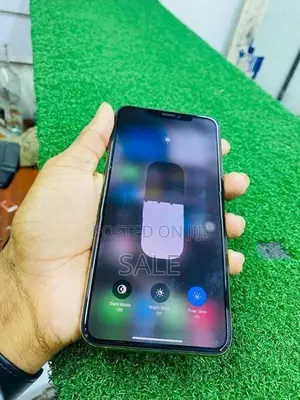 Apple iPhone XS Max (Used)