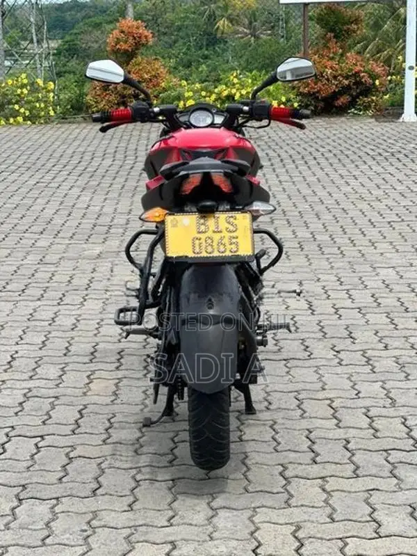 Bajaj Pulsar NS160 2019