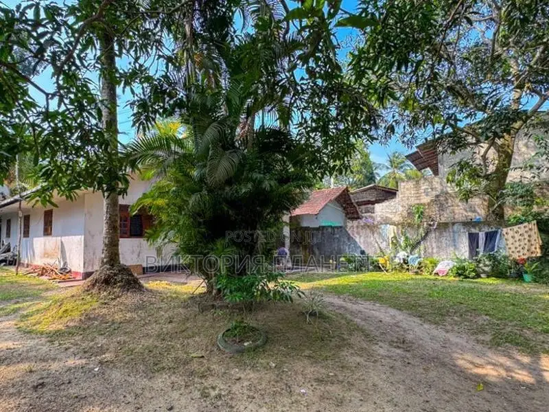 Plot for Sale in Ahangama, Kabalana