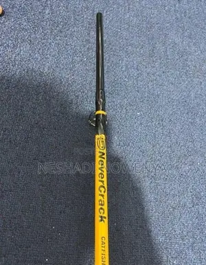 Fishing Rod and Reel