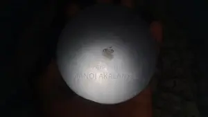 Apple Wireless Charger