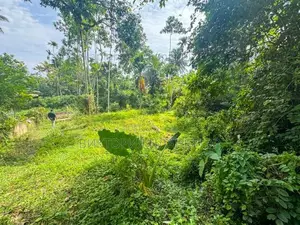 Land for Sale in Ahangama