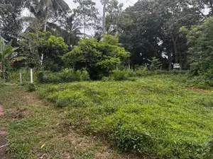 ඉඳුරුව, ගෝනගල පුර ඉතා වටිනා ඉඩමක් විකිණීමට
