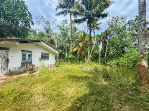 Land for Sale in Ahangama