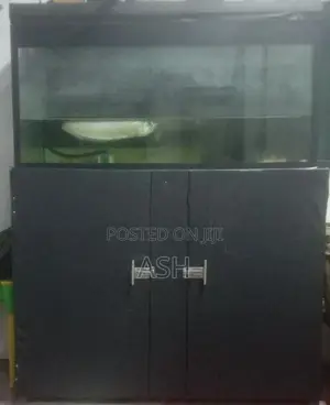 Fish Tank