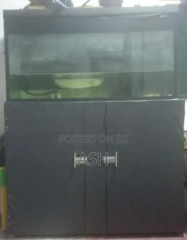 Fish Tank