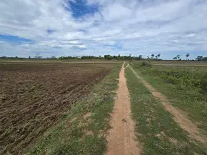 Agriculture Land for Sale Batticaloa