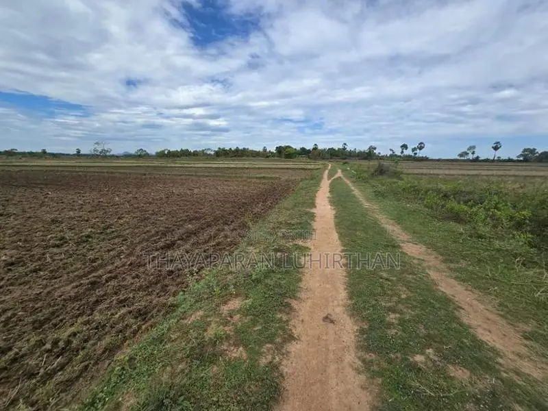 Agriculture Land for Sale Batticaloa