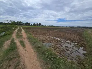 Agriculture Land for Sale Batticaloa