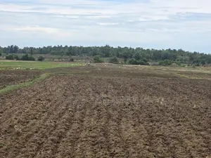 Agriculture Land for Sale Batticaloa