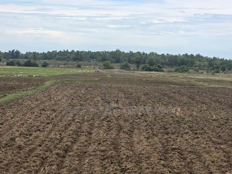 Agriculture Land for Sale Batticaloa