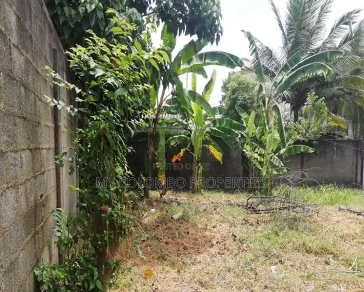 Land for Sale Mount Lavinia