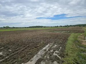 Agriculture Land for Sale Batticaloa