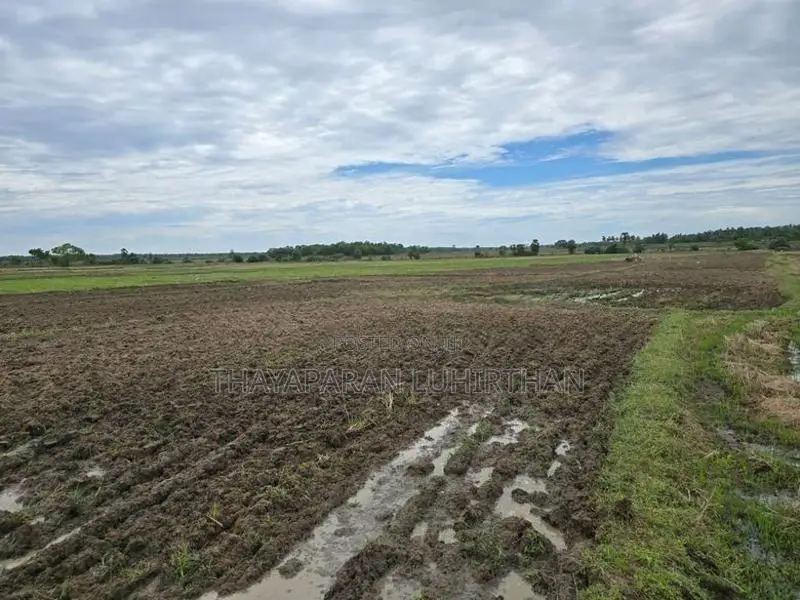 Agriculture Land for Sale Batticaloa