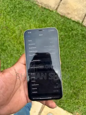 Apple iPhone 12 Pro Max 128GB (Used)