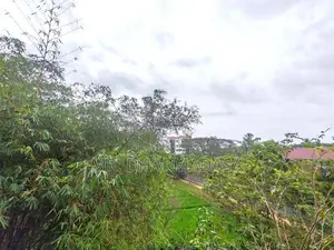 Luxury Fully Furnished 3BR Apartment at Ariyana, Athurugiriya for Rent