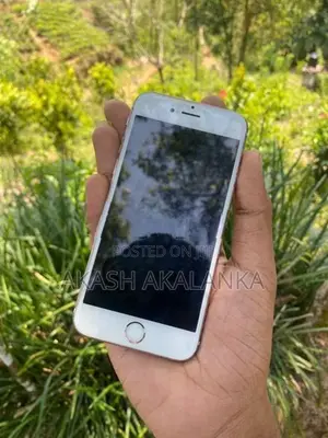 Apple iPhone 6S (Used)