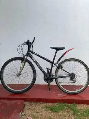 Japan Bike
