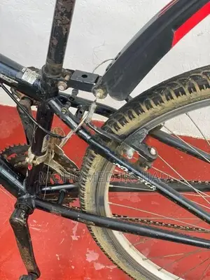 Japan Bike