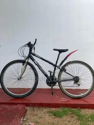 Japan Bike