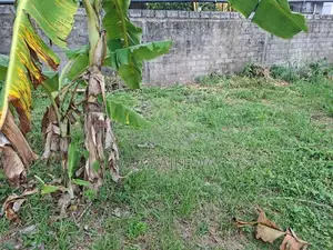 15 Perch Land for Sale in Seeduwa, Raddolugama - හරි හතරැස් ඉඩම