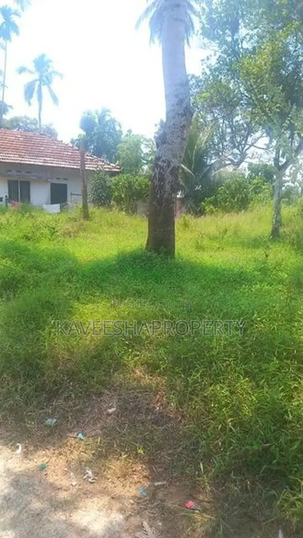 Land for Sale Walipillewa