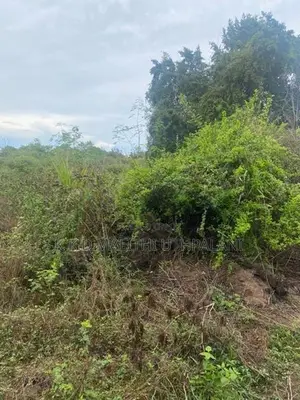 Land For Sale Walgama Matara