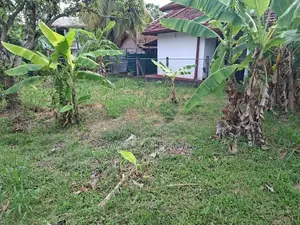15 Perch Land for Sale in Seeduwa, Raddolugama - හරි හතරැස් ඉඩම