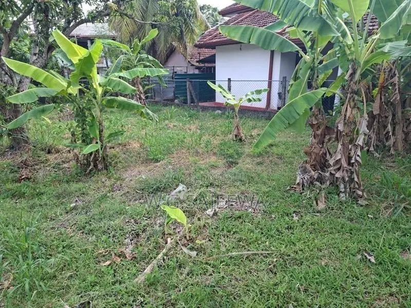 15 Perch Land for Sale in Seeduwa, Raddolugama - හරි හතරැස් ඉඩම