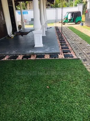 Malaysian Grass