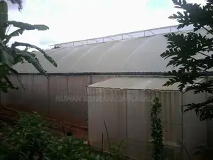 Net House (Poly Tunnel)