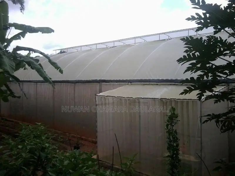 Net House (Poly Tunnel)
