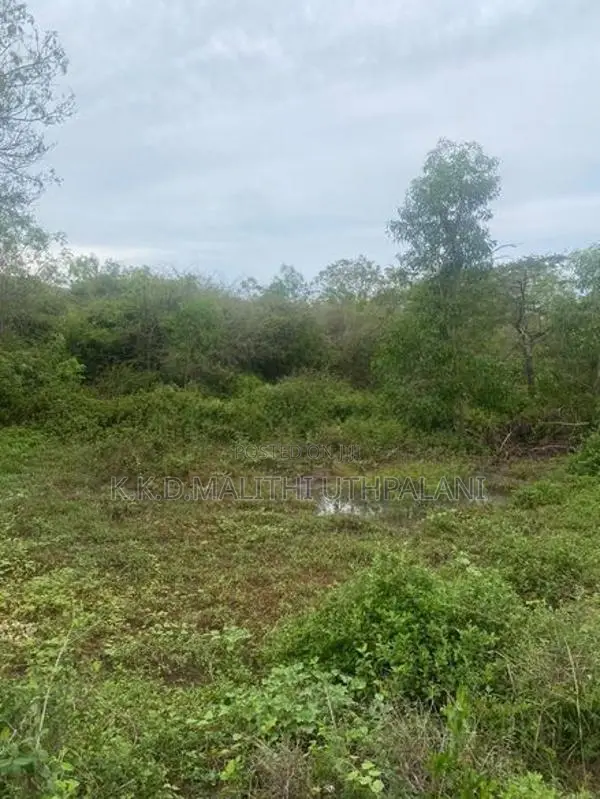 Land For Sale Walgama Matara