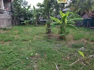 15 Perch Land for Sale in Seeduwa, Raddolugama - හරි හතරැස් ඉඩම