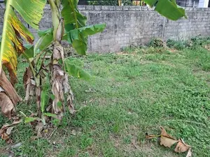 15 Perch Land for Sale in Seeduwa, Raddolugama - හරි හතරැස් ඉඩම