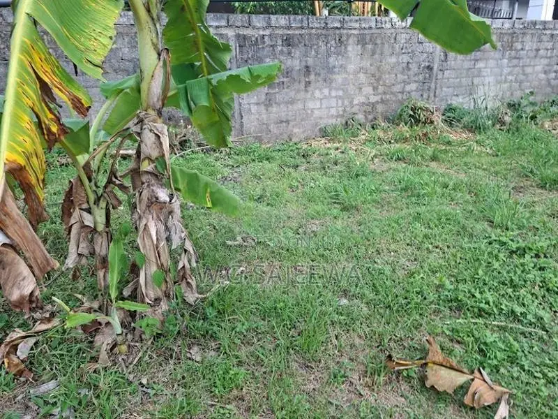 15 Perch Land for Sale in Seeduwa, Raddolugama - හරි හතරැස් ඉඩම