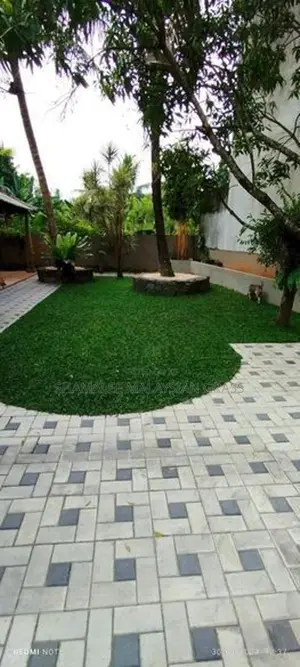Malaysian Grass