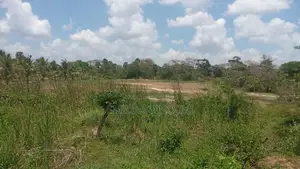 Land for Sale - Galgamuwa