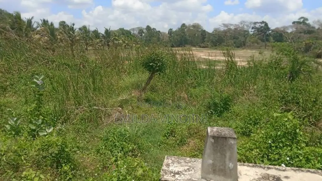 Land for Sale - Galgamuwa