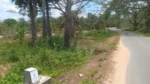 Land for Sale - Galgamuwa