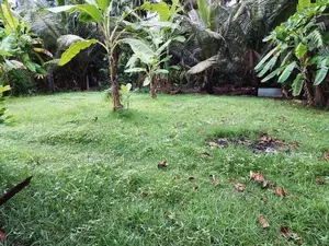 Land for Sale in Waththala